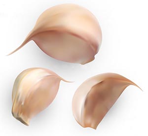 にんにくはパワーの出る食材として有名