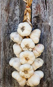 界に伝わるにんにくの魔除け