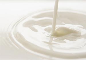 にんにくの牛乳煮