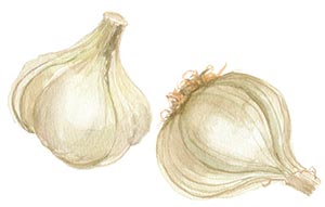 にんにくは独特の味や香りと健康