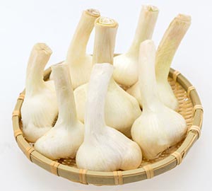 、無臭にんにくはにんにくではなくネギに分類される