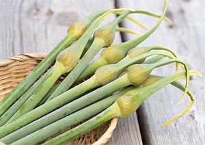 にんにくの芽とは？