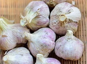 北海道在来のにんにく