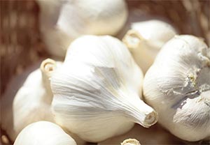 福地ホワイト六片