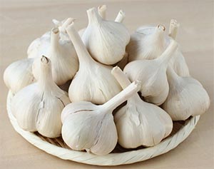 北海道産・富良野にんにく