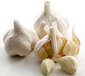 青森産・福地ホワイト六片