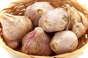 にんいく沖縄早生